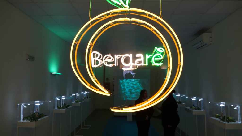 Bergarè ()