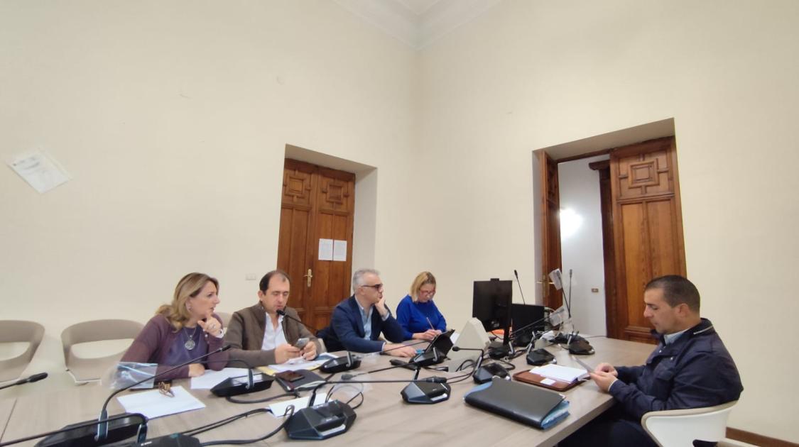 Circoscrizioni, audizione del sindaco Falcomatà: prevista una fase di ‘startup’
