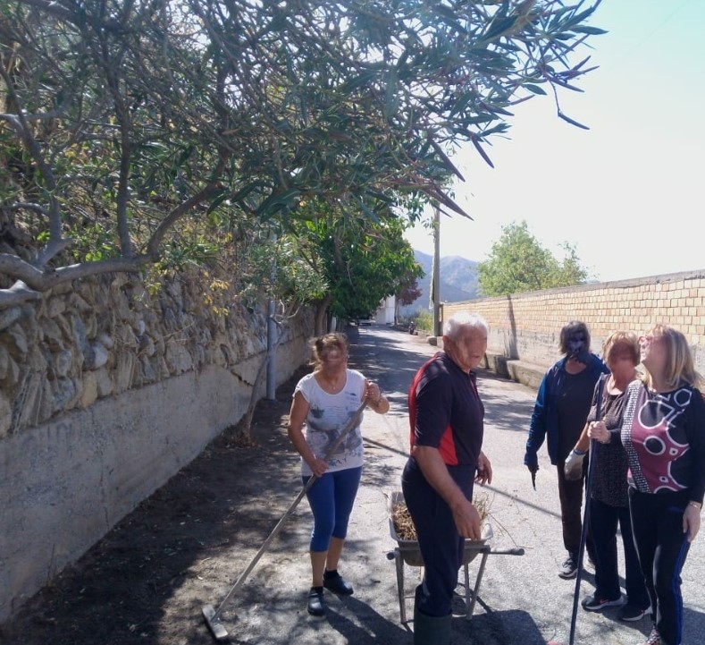 Pulizia Viale del Cimitero