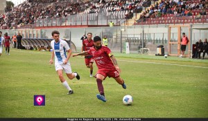Reggina Porcino crossa