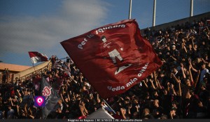 Reggina bandiera curva