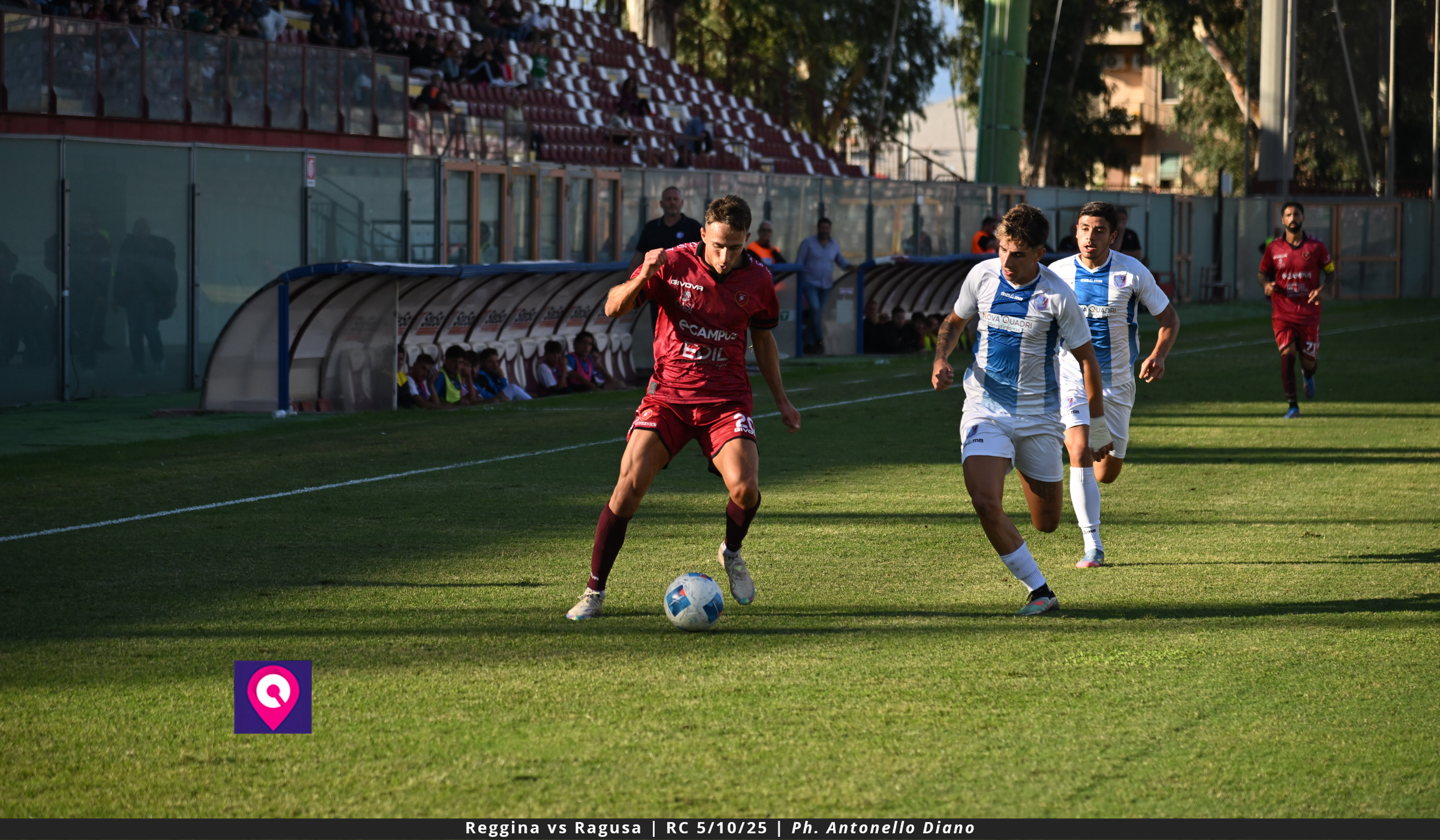 Reggina Edera azione