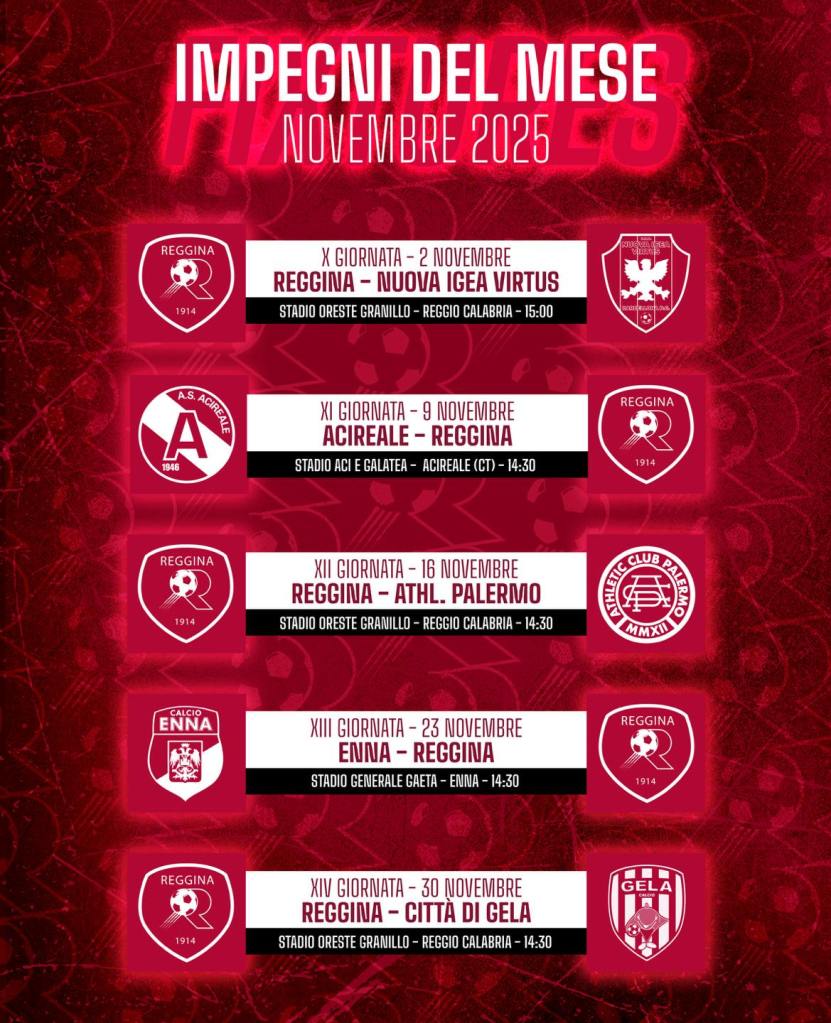 Reggina grafica partite novembre