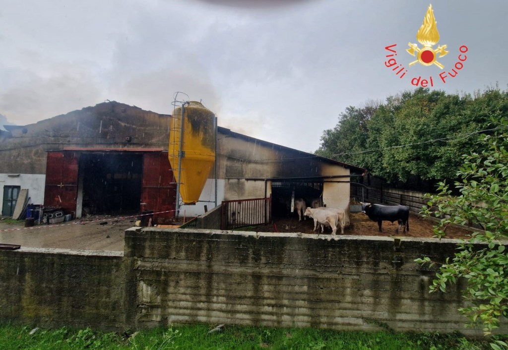 incendio capannone vvf catanzaro ()