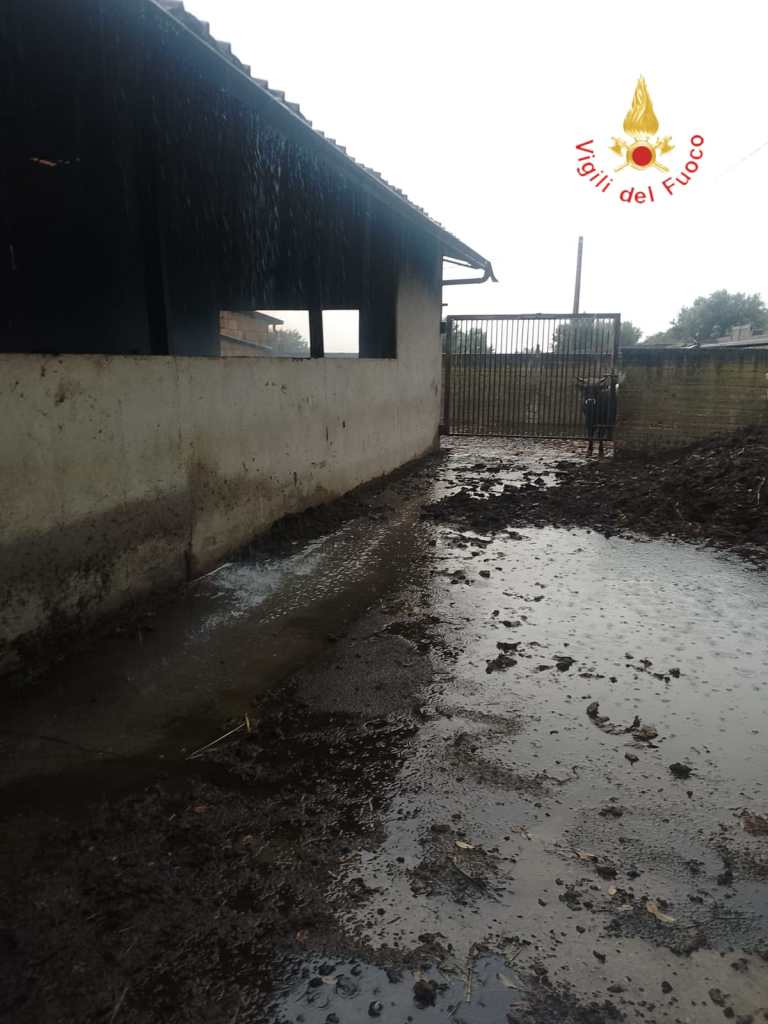 incendio capannone vvf catanzaro ()