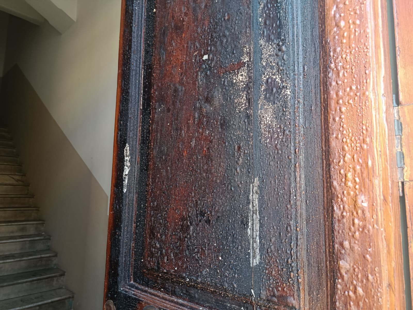 incendio delizie natura rc