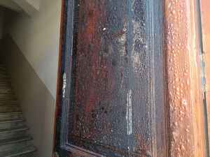 incendio delizie natura rc