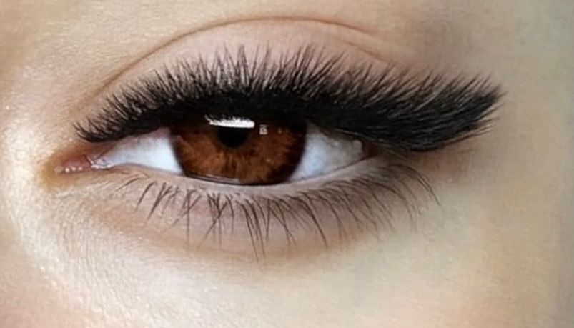 lash academy ana maria petrea