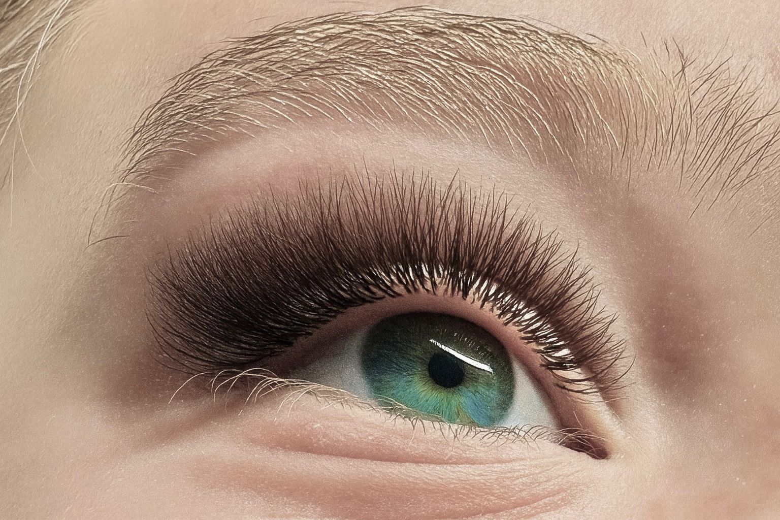 lash academy ana maria petrea