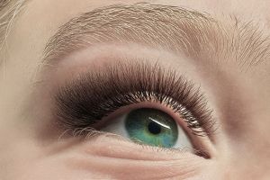 lash academy ana maria petrea