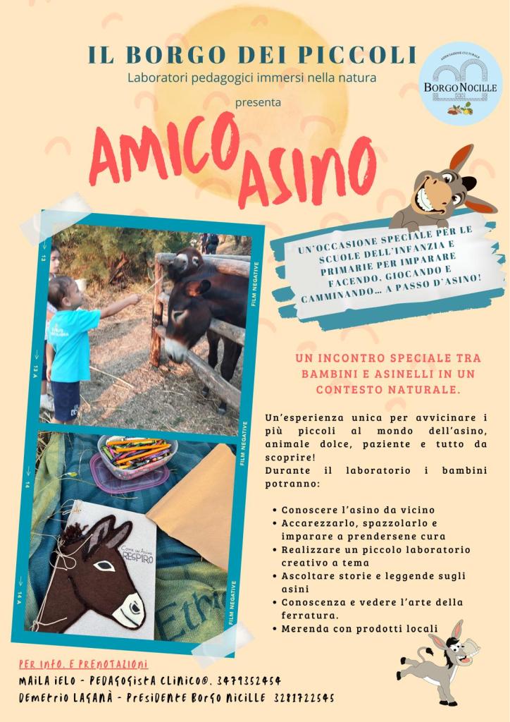 locandina laboratorio Amico Asino