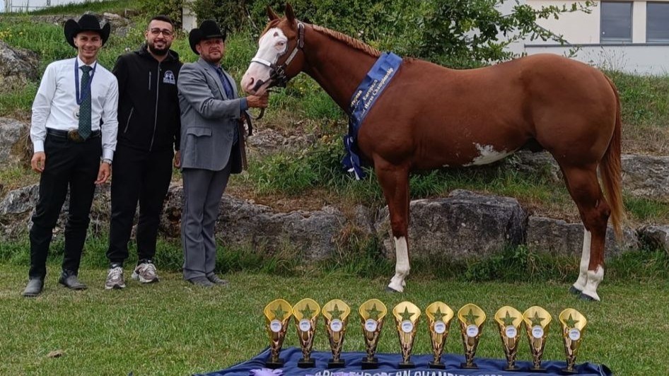 È reggino il puledro che incanta l’Europa: a due anni è un campione pluripremiato- FOTO