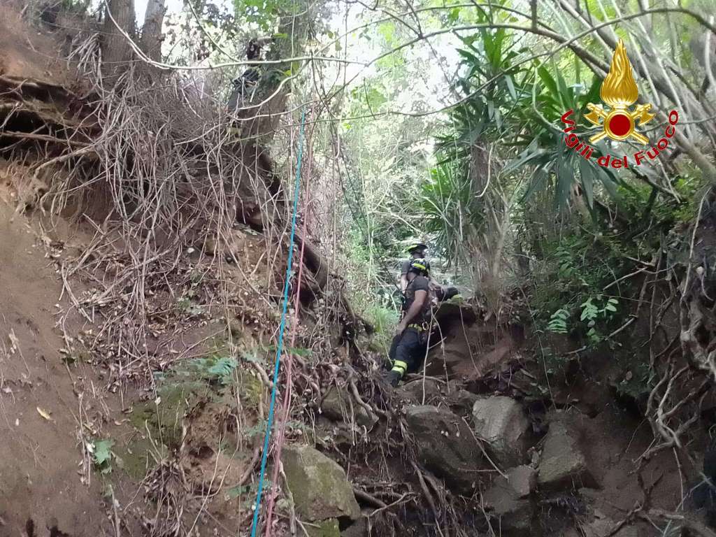 operaio monterosso calabro vigili fuoco ()