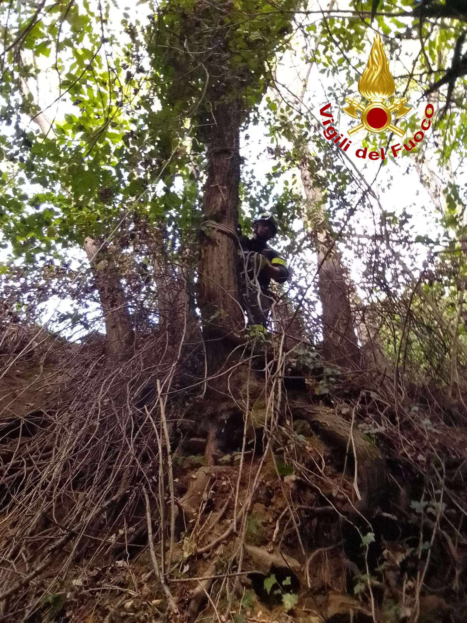 operaio monterosso calabro vigili fuoco ()