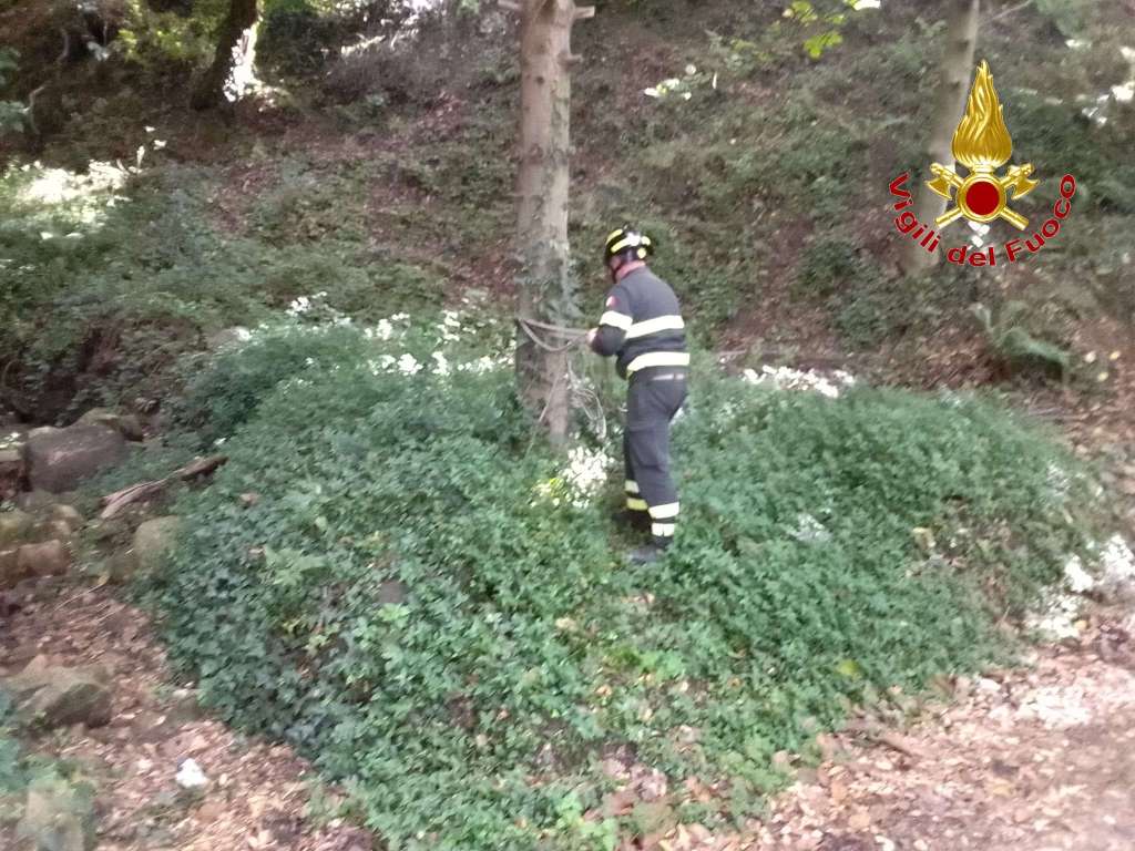 operaio monterosso calabro vigili fuoco ()