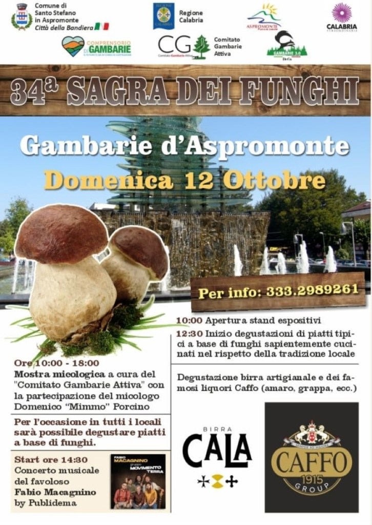 sagra funghi gambarie