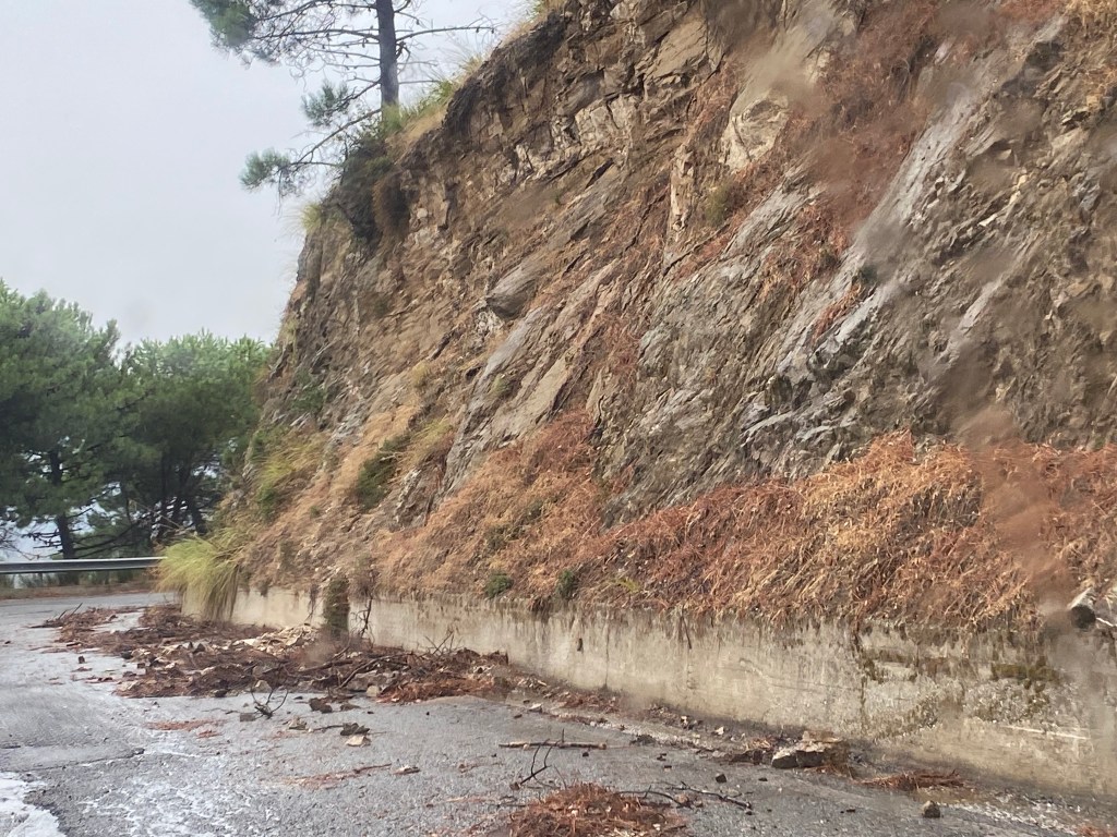 strada armo santa venere denuncia oipa ()