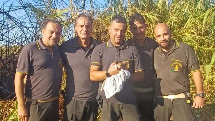 vigili fuoco incendio gatto