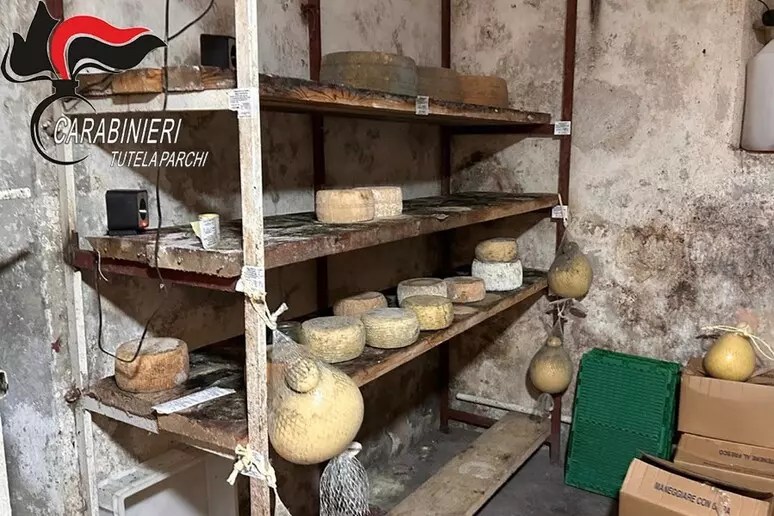 Irregolarità igienico-sanitarie, sequestrati 11 quintali di formaggi in Calabria
