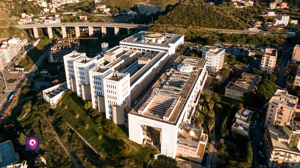 Unirc universita mediterranea