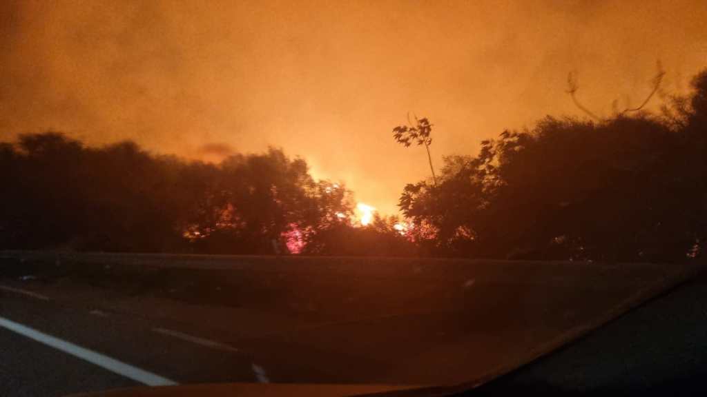 Reggio, vasto incendio sulla SS 106 vicino al ponte dell’Amendola