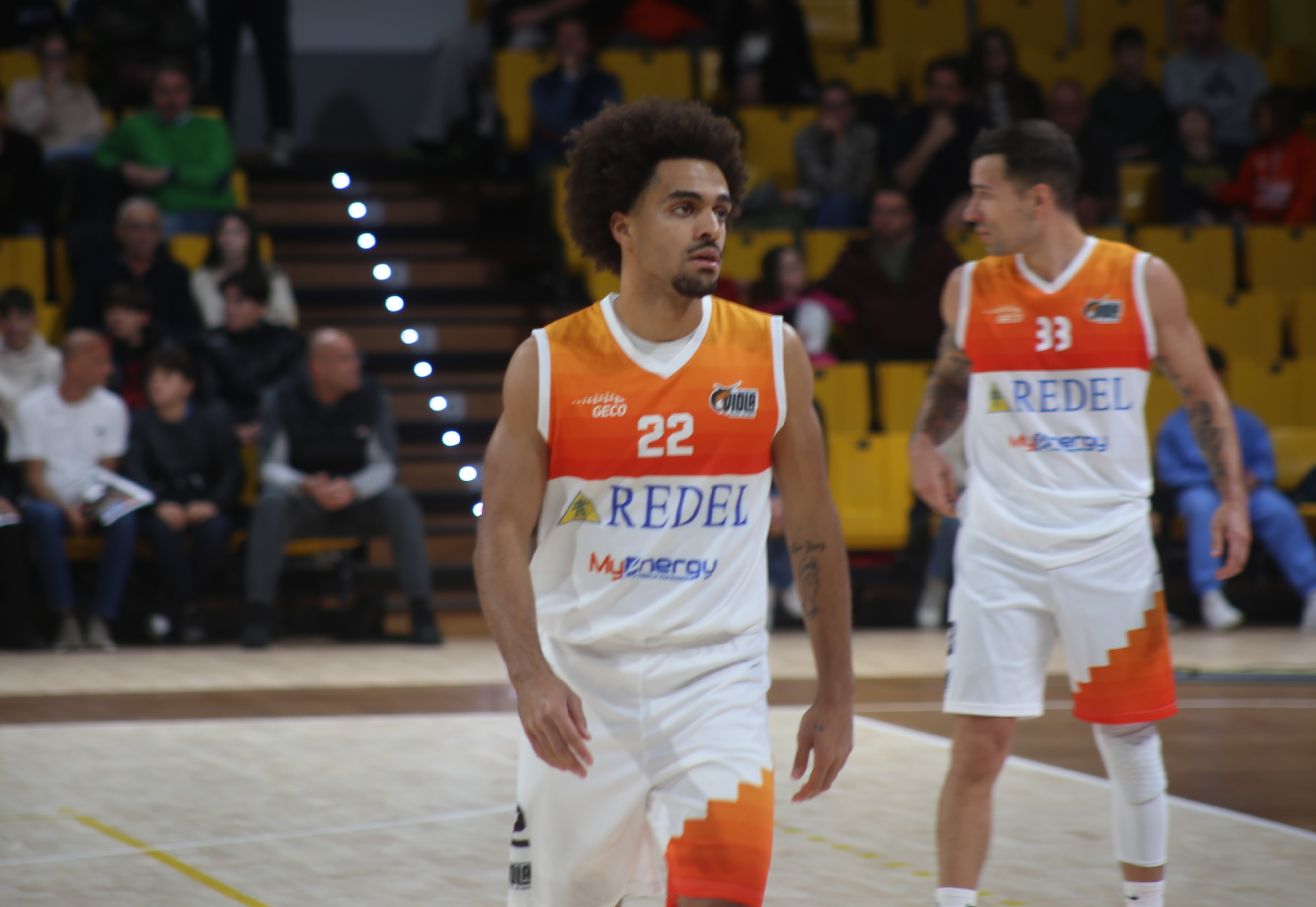 redel viola ragusa clark ()