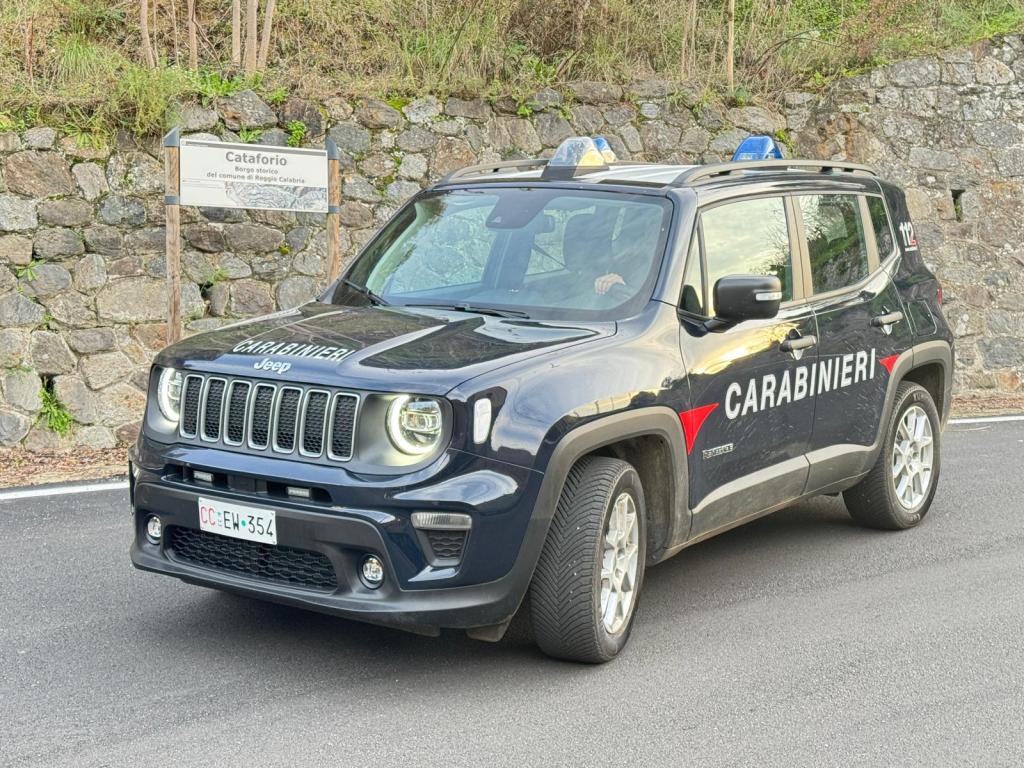 Reggio, tentano il furto in una villetta: arrestati due uomini
