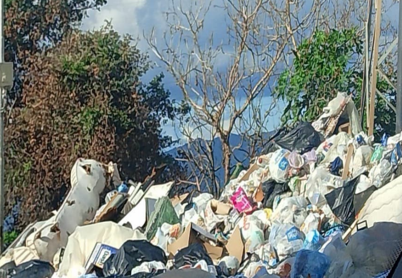 OIPA e Guardia Agroforestale discariche rc ()