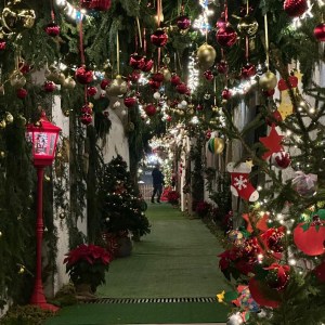 cafio incantato polistena