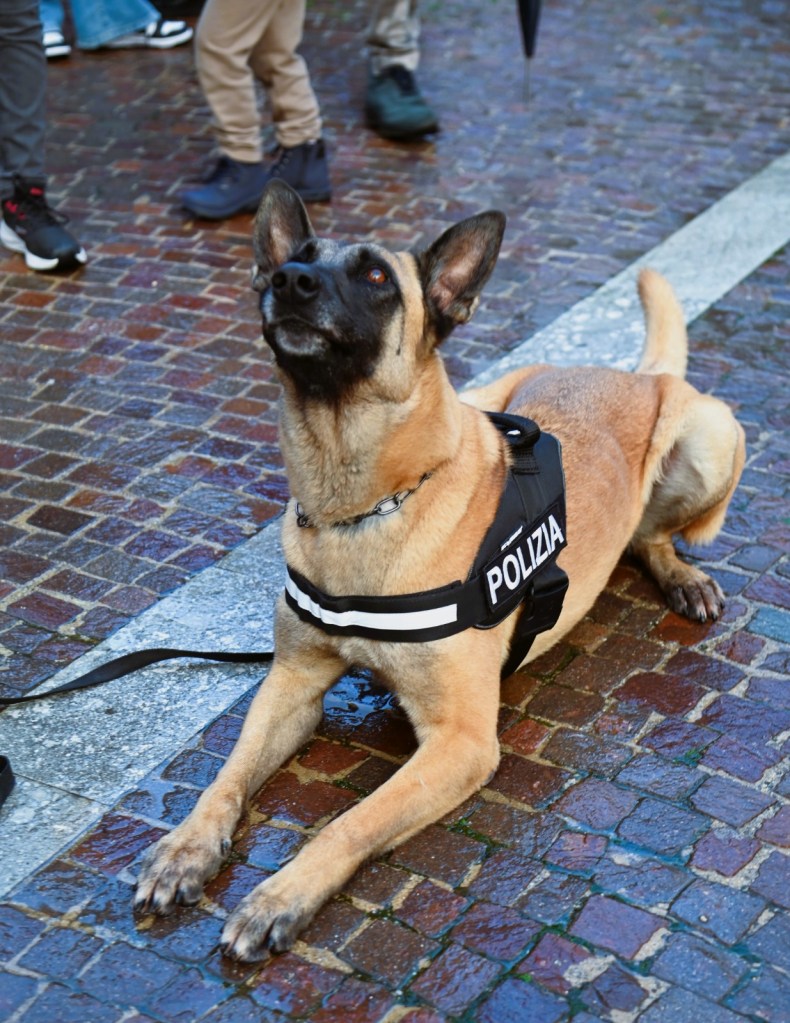 chiesa cannavò polizia ()