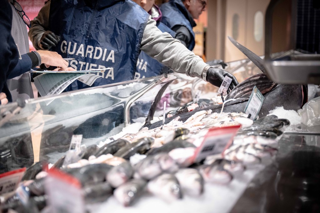 Operazione ‘Fish Net’: controlli della Guardia Costiera sulla filiera della pesca – FOTO