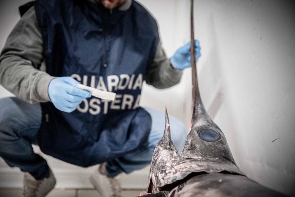 operazione fish net guardia costiera ()