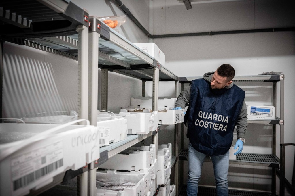 operazione fish net guardia costiera ()