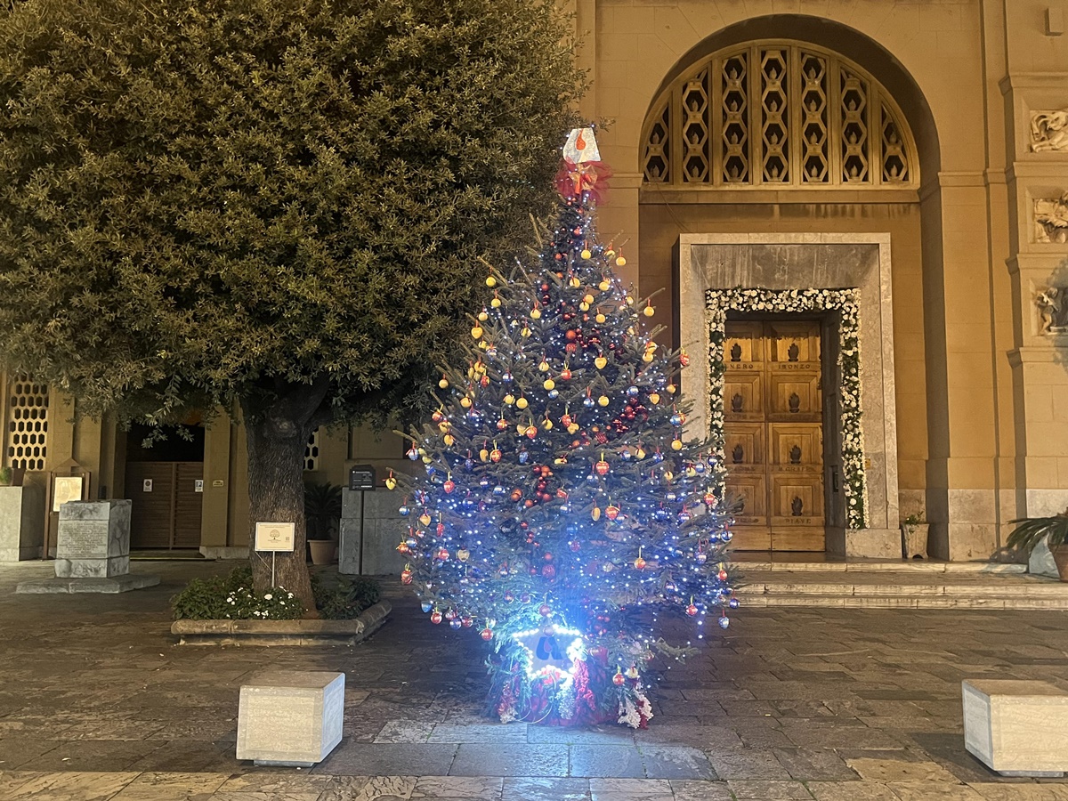 Albero del Dono Avus Natale