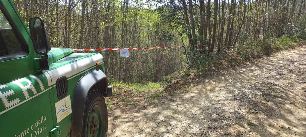 Carabinieri Forestali