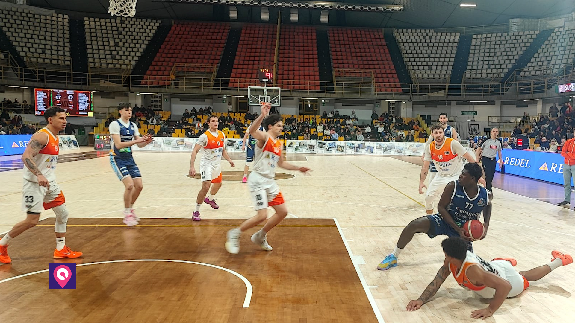 Redel Viola Dinamo Brindisi