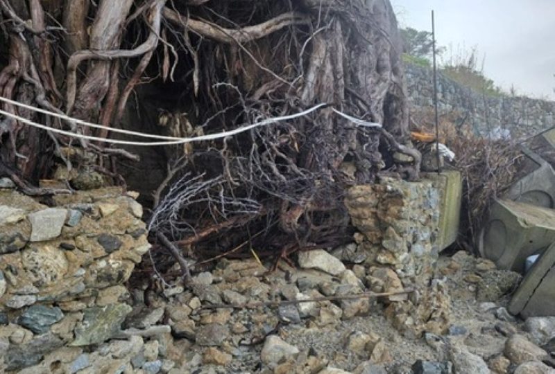 erosione costiera spiaggia cannitello ()