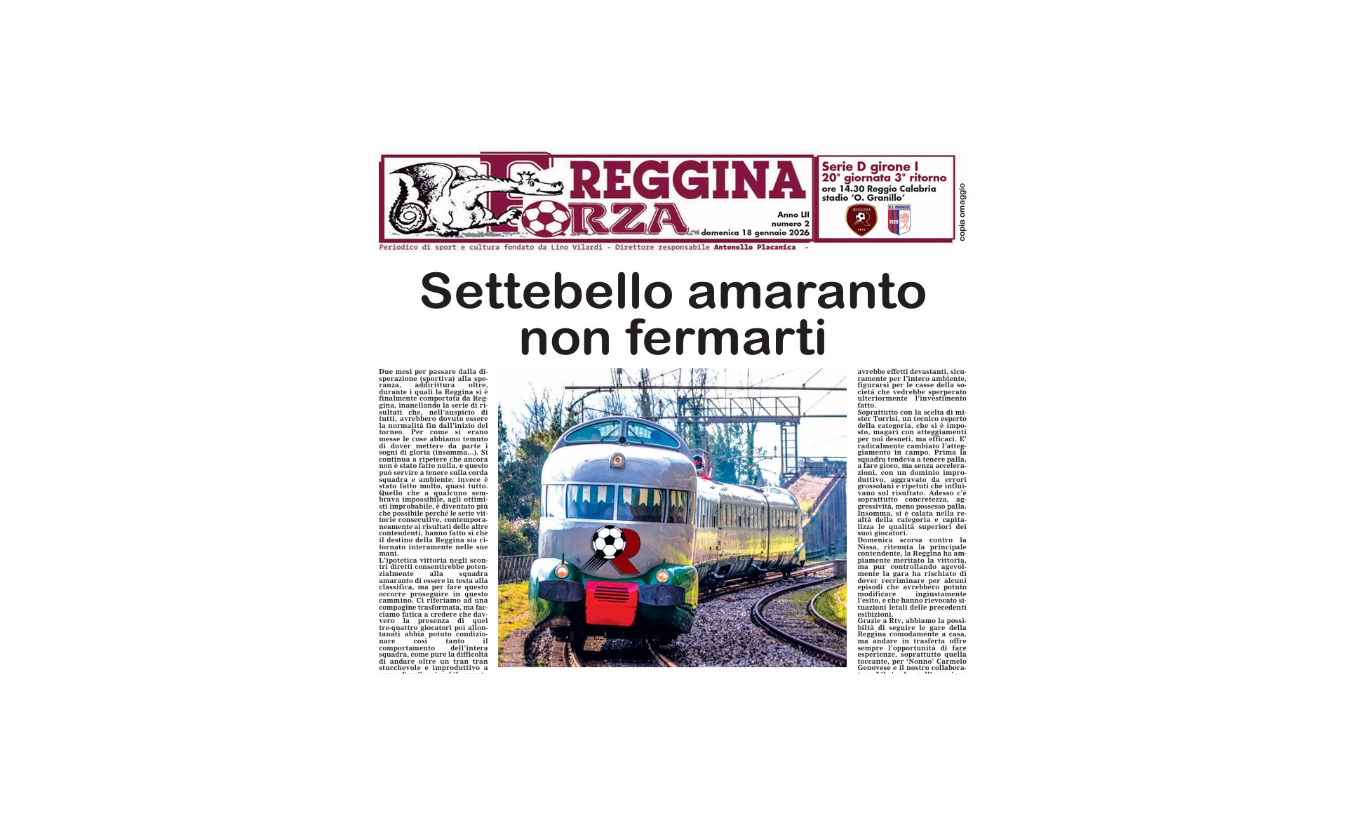 forzaregginavibonese