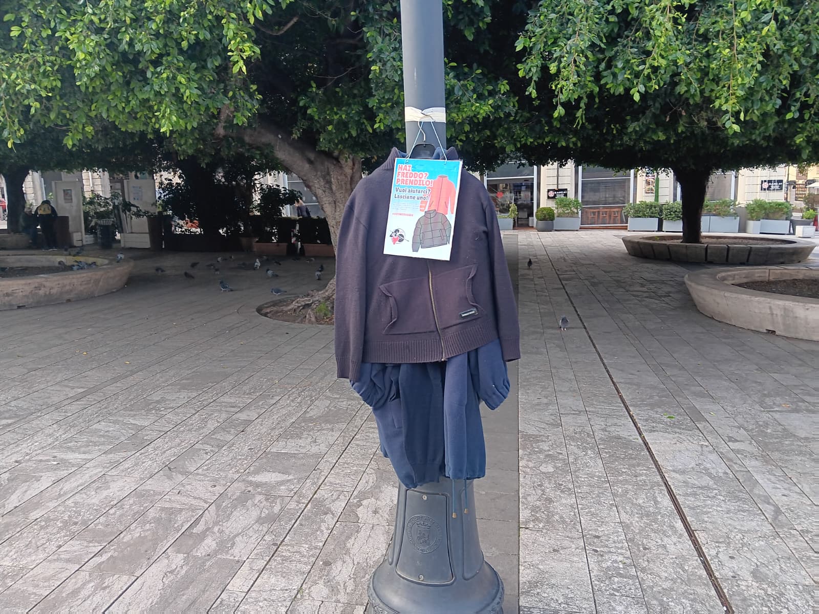 iniziativa reggio calabria NFP