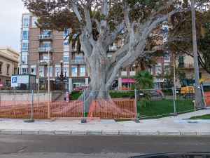 lavori corso matteotti terzo lotto ()