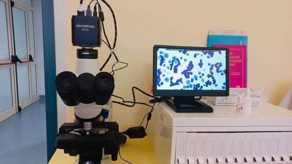 microscopio gom rc