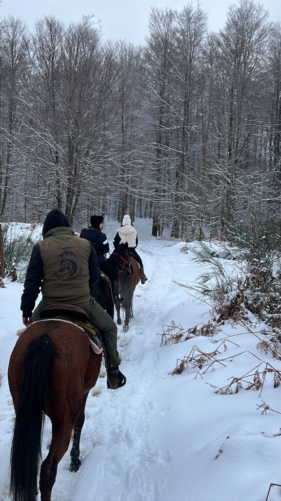 raduno cavalli gambarie ()