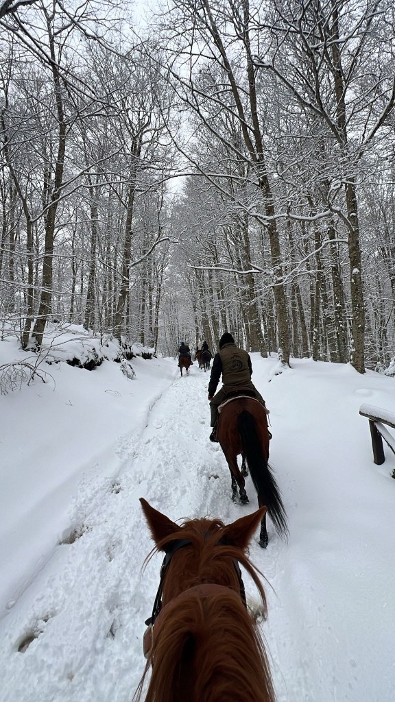 raduno cavalli gambarie ()