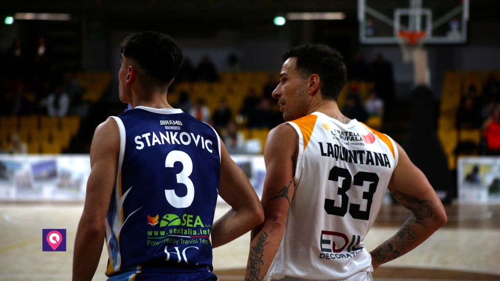 redel viola brindisi