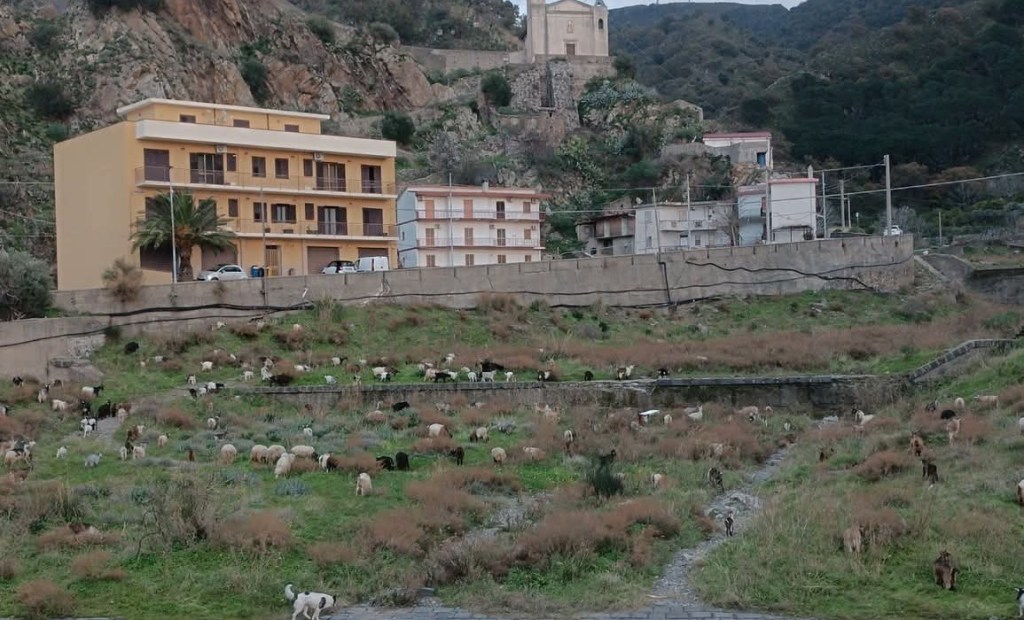 Reggio, rotta civica di Onda Orange: tappa nella vallata Valanidi