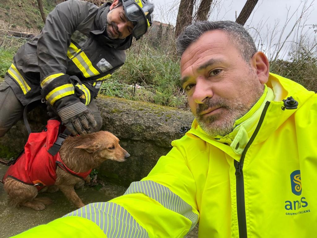 Anas e Vigili del Fuoco salvano il cane Giorgio durante i lavori di ripristino sulla SS 19