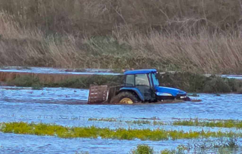 Maltempo in Calabria, Coldiretti: ‘Agricoltura in ginocchio, oltre 3.000 ettari devastati’