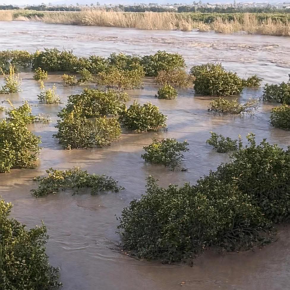 Maltempo Coldiretti Calabria