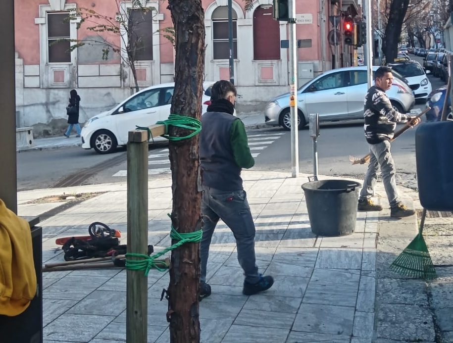 Maltempo a Reggio, alberi giù a piazza De Nava: in corso l’intervento di ripristino – FOTO
