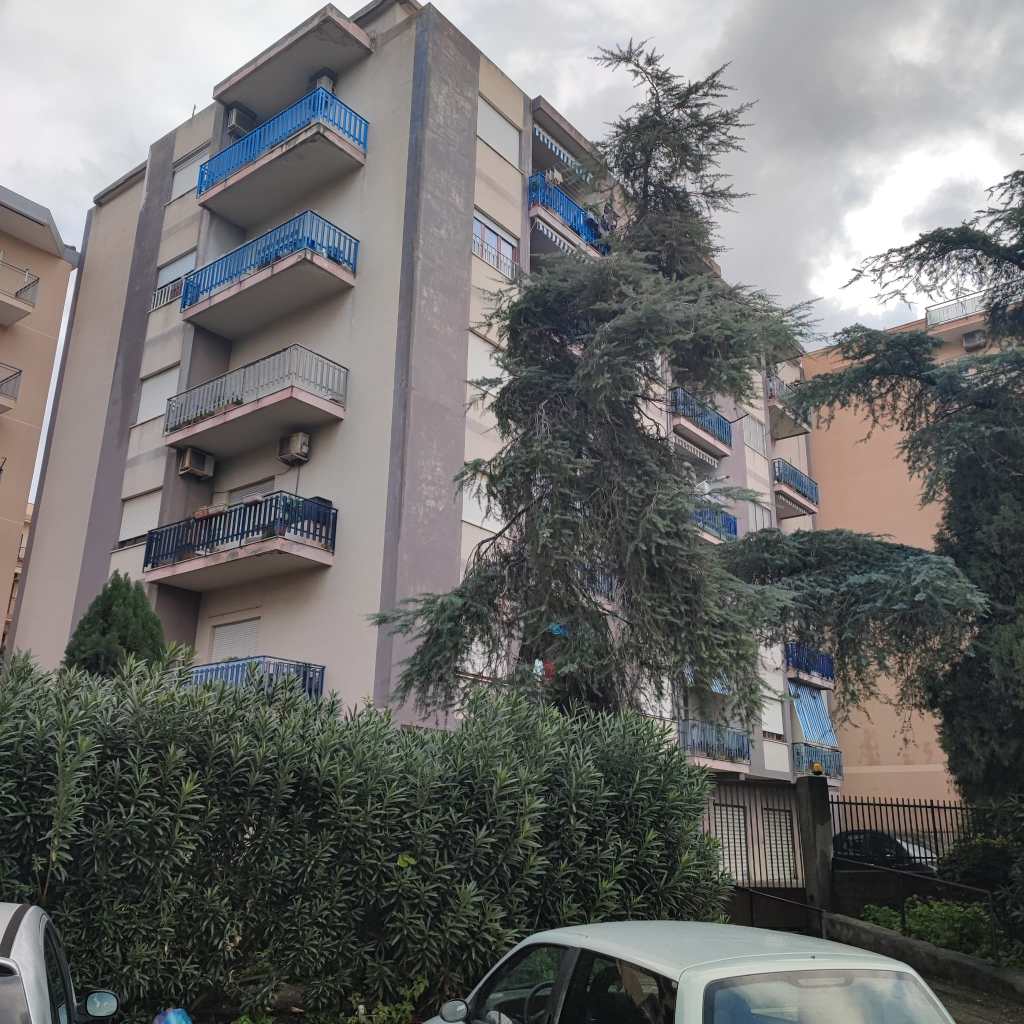 caduta albero via sila ()